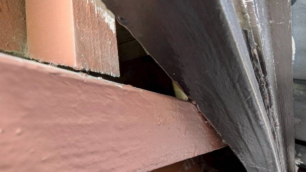 佐賀県唐津市　アライグマによる被害　E様邸　駆除実績