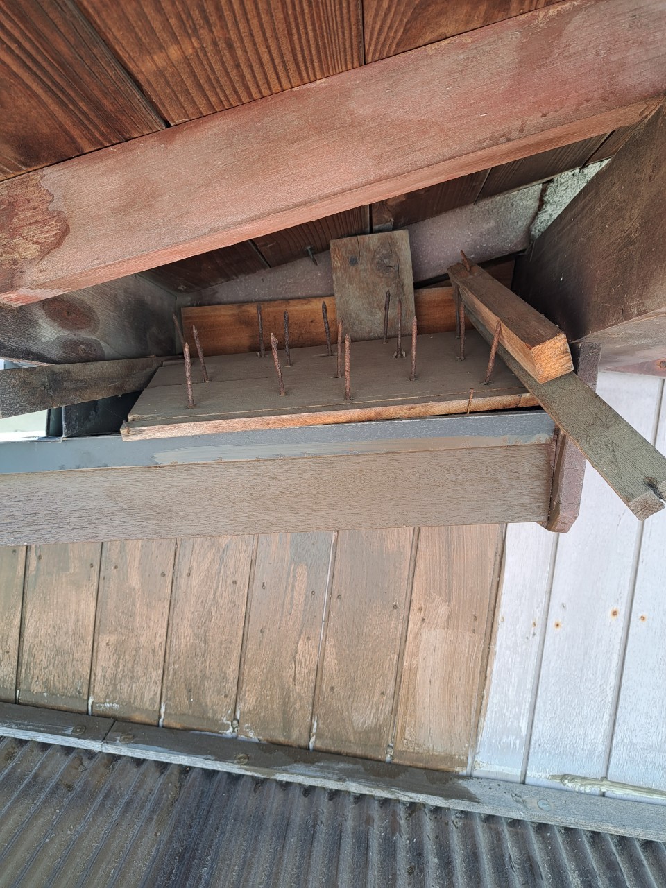 福岡県筑紫野市　イタチによる被害　S様邸　駆除実績