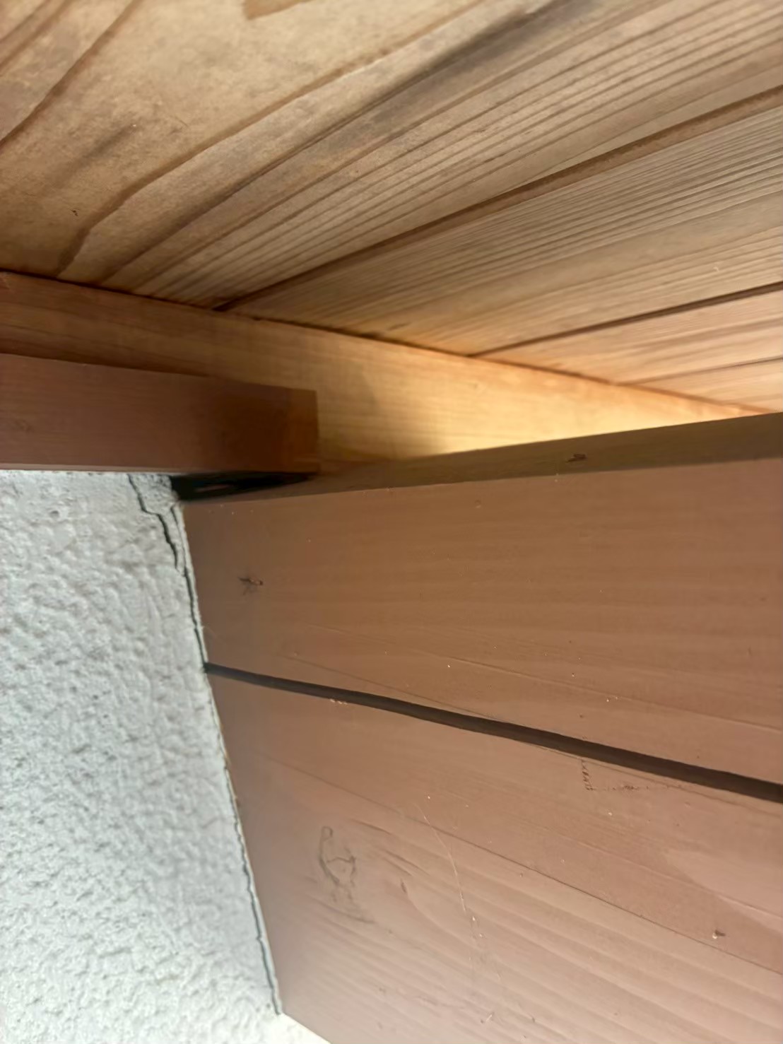 福岡県福岡市　ネズミによる被害　H様邸　駆除実績