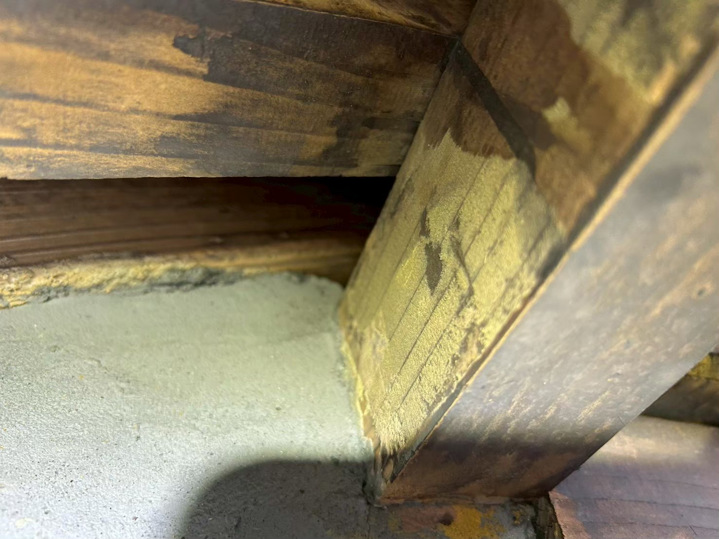 大分県大分市　アライグマによる被害　T様邸