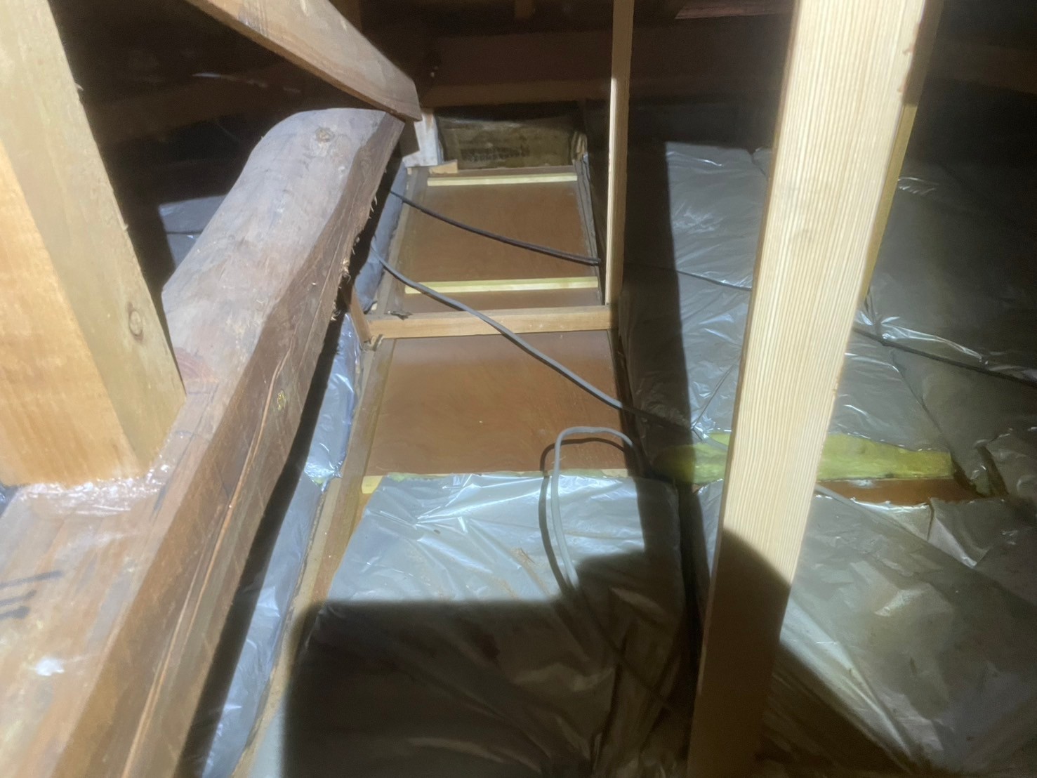 山口県下関市　イタチによる被害　W様邸　駆除実績