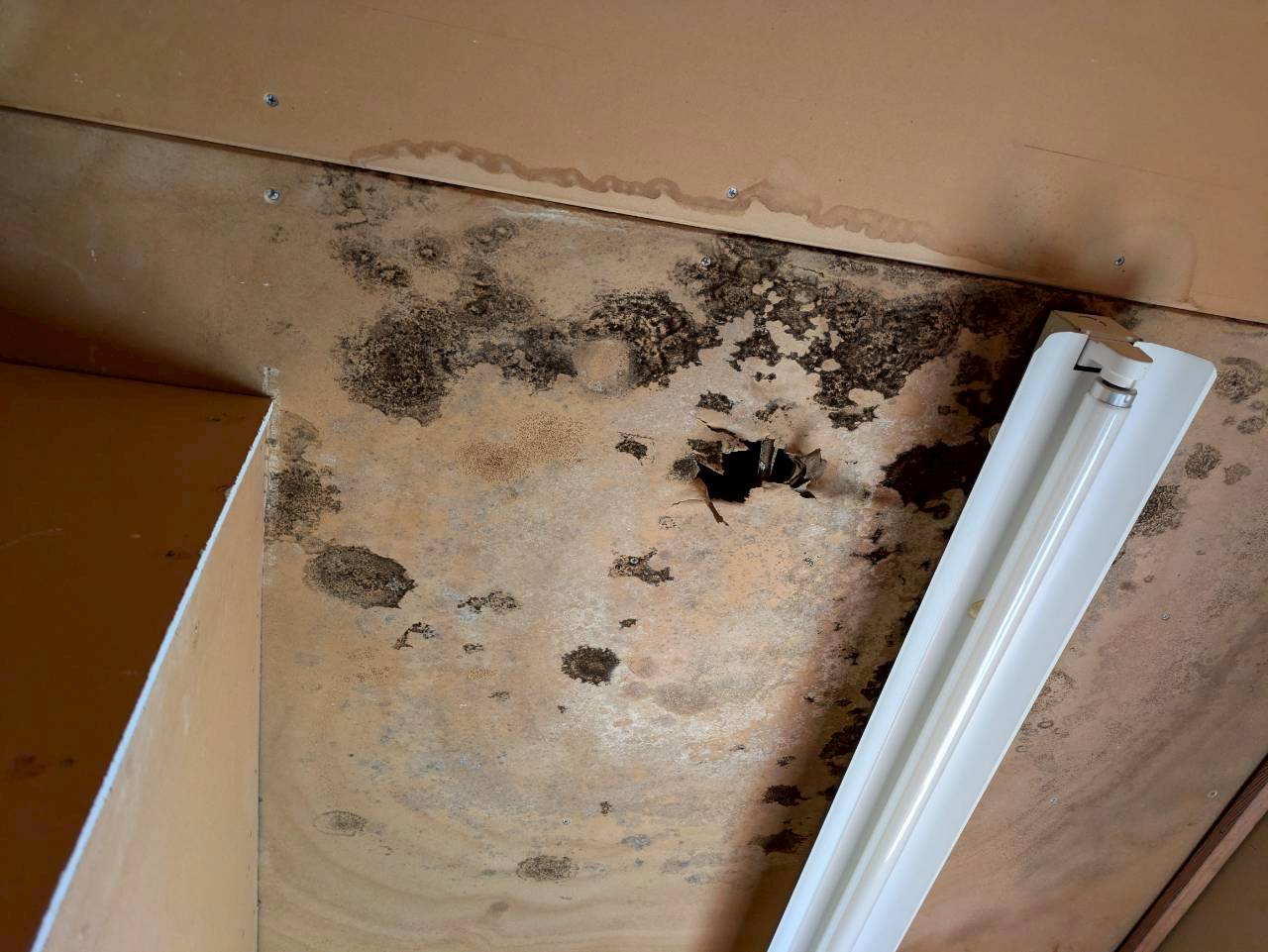 大分県別府市　イタチによる被害　E様邸　契約書