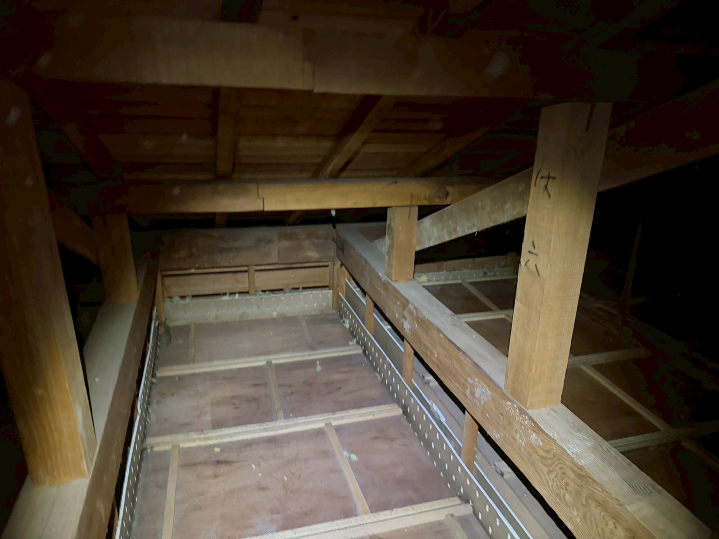 熊本県八代市　アライグマによる被害　M様邸　駆除実績