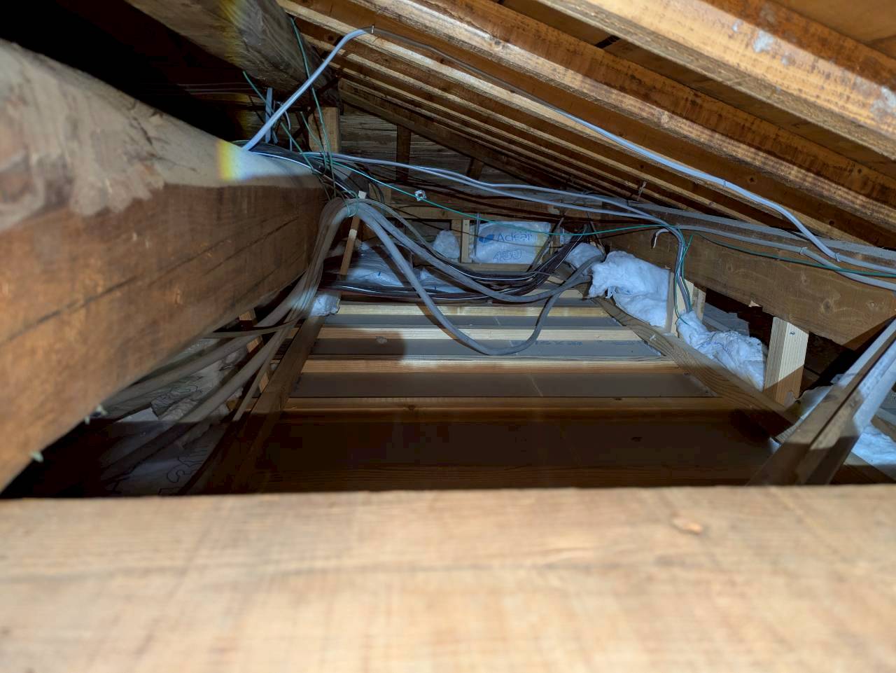 長崎県雲仙市　アライグマによる被害　S様邸　駆除実績