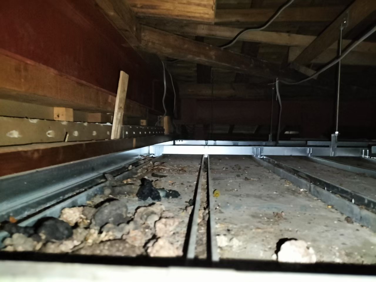 長崎県大村市　アライグマによる被害　Y様邸　駆除実績