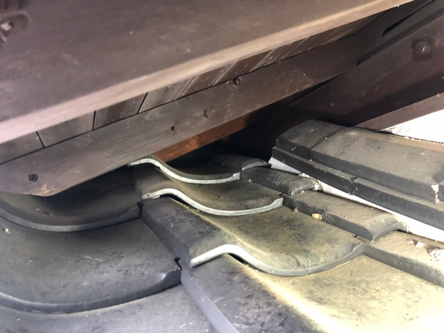 イタチ・ネズミによる被害　M様邸　駆除実績