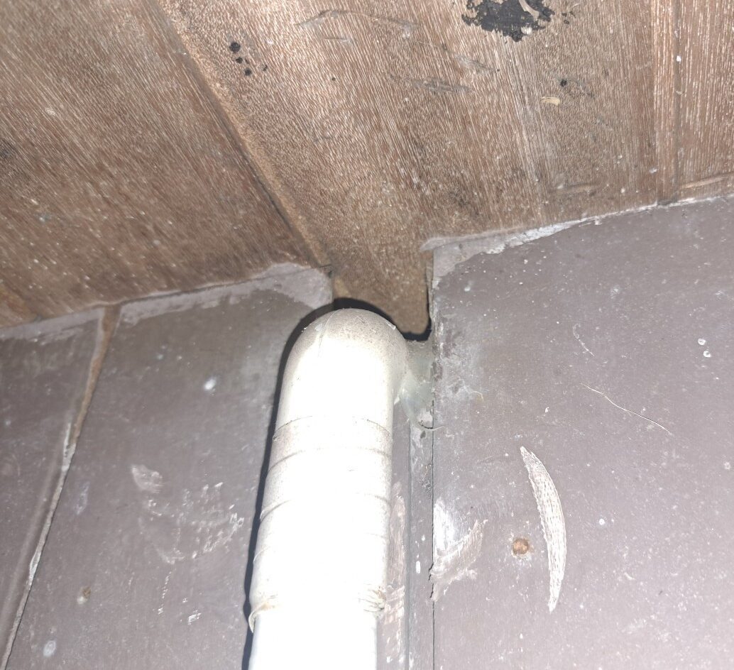 長崎県諫早市　アライグマによる被害　N様邸　駆除実績