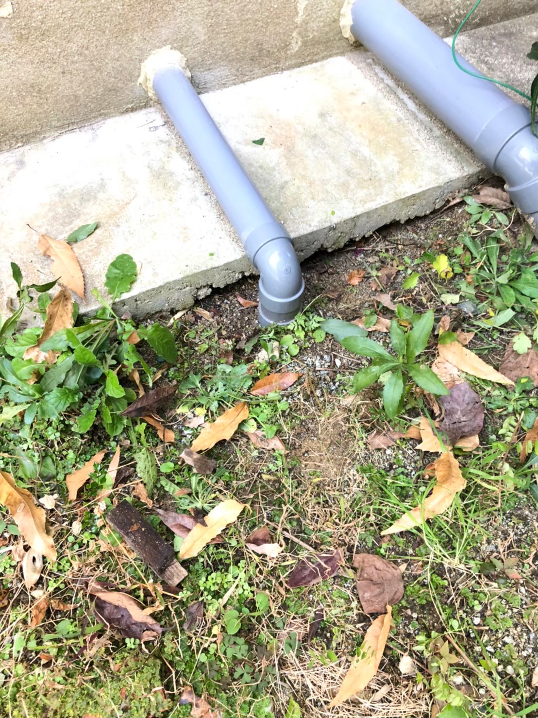 ネズミによる被害　K様邸　駆除実績