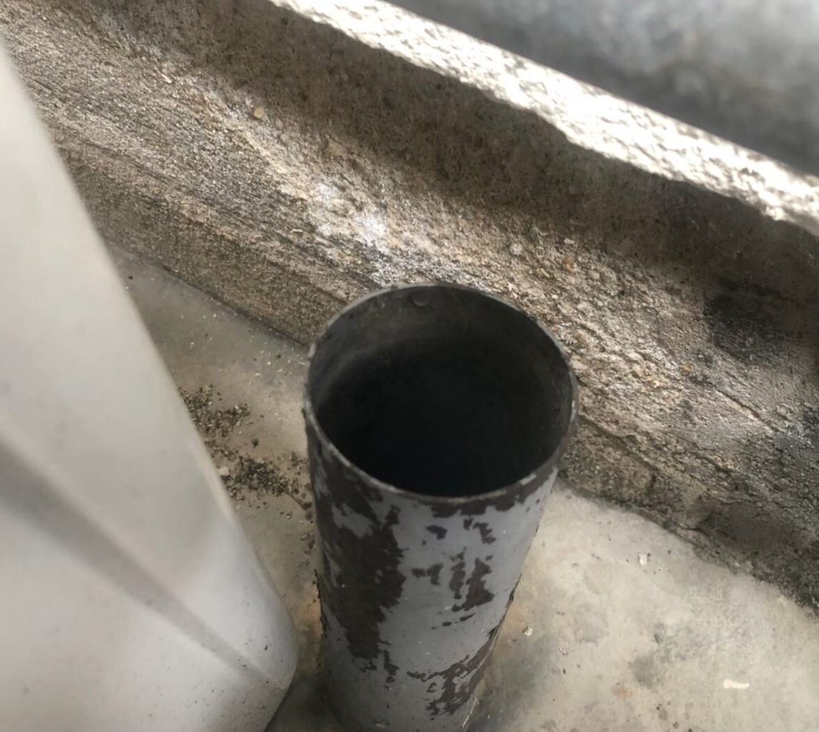 イタチによる被害　T様邸　駆除実績