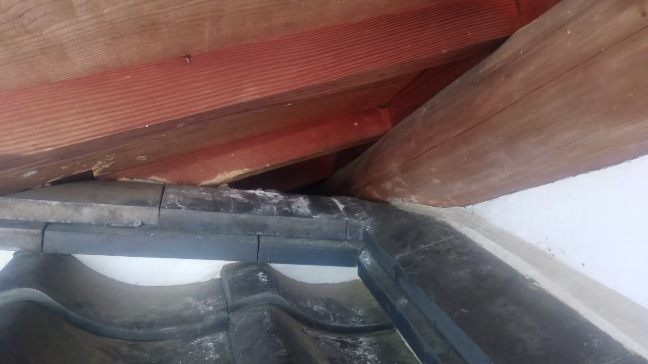 佐賀県鳥栖市　アライグマによる被害　Y様邸　駆除実績