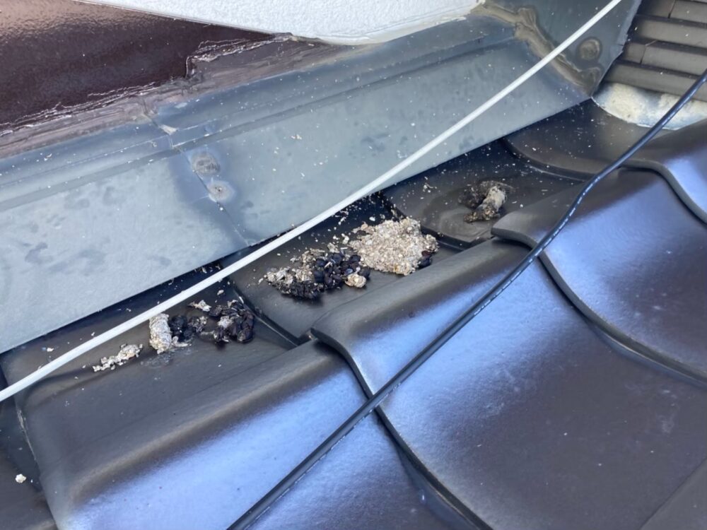 ハクビシンによる被害　F様邸　駆除実績