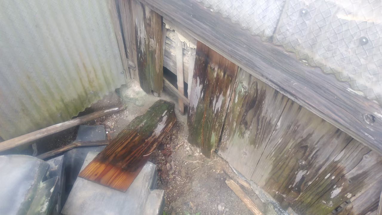 福岡県久留米市　イタチによる被害　T様邸　駆除実績