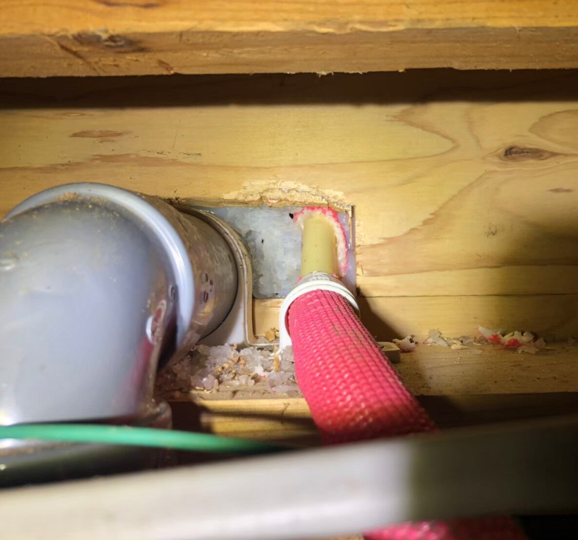 福岡県大牟田市　ネズミによる被害　N様邸　駆除実績