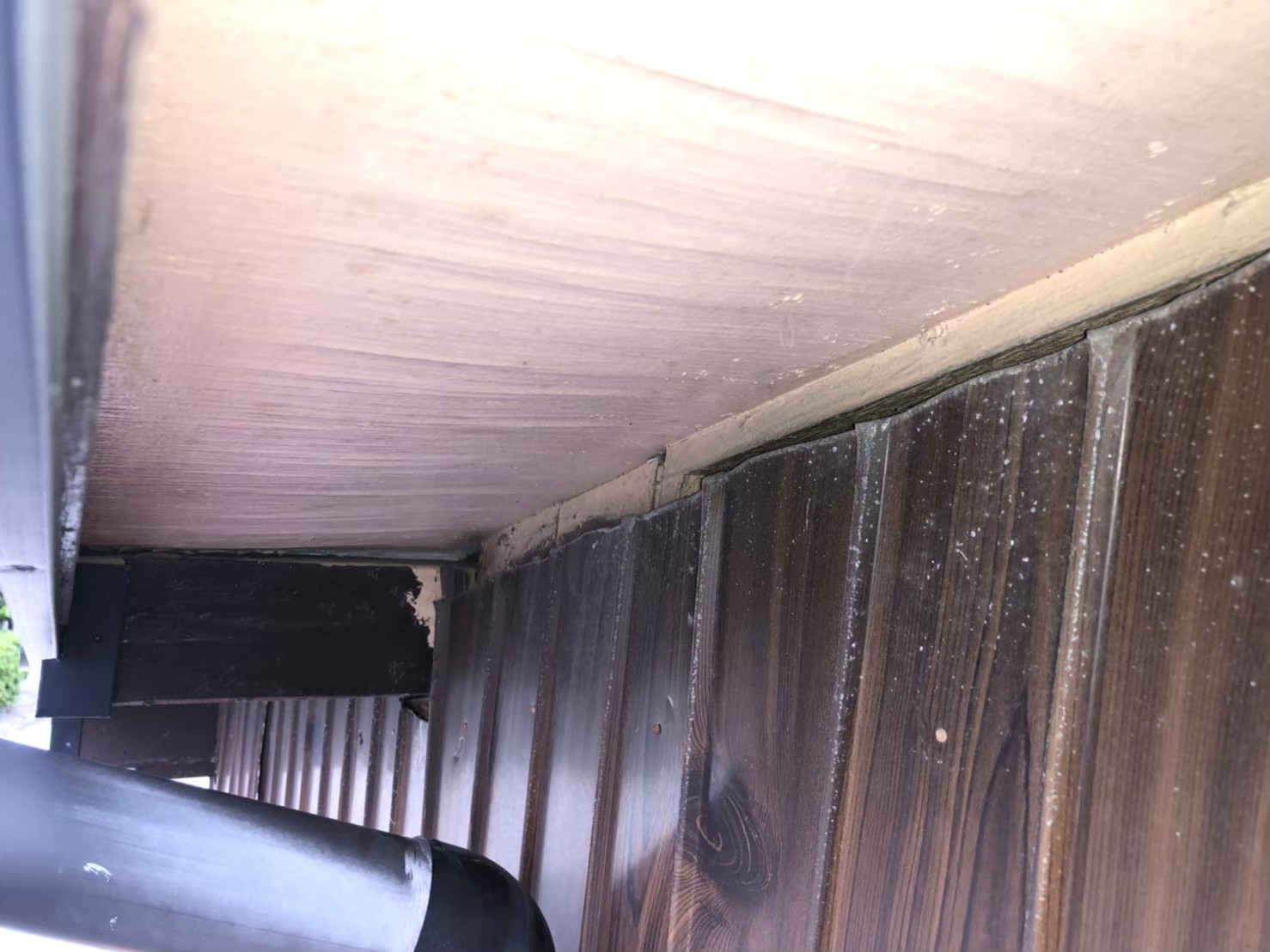 佐賀県唐津市　イタチによる被害　M様邸　駆除実績