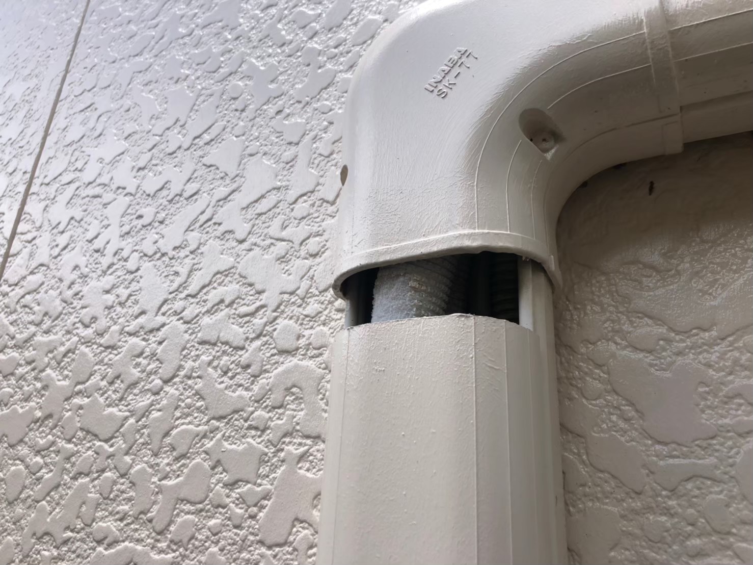 佐賀県 鹿島市　ネズミによる被害　駆除実績