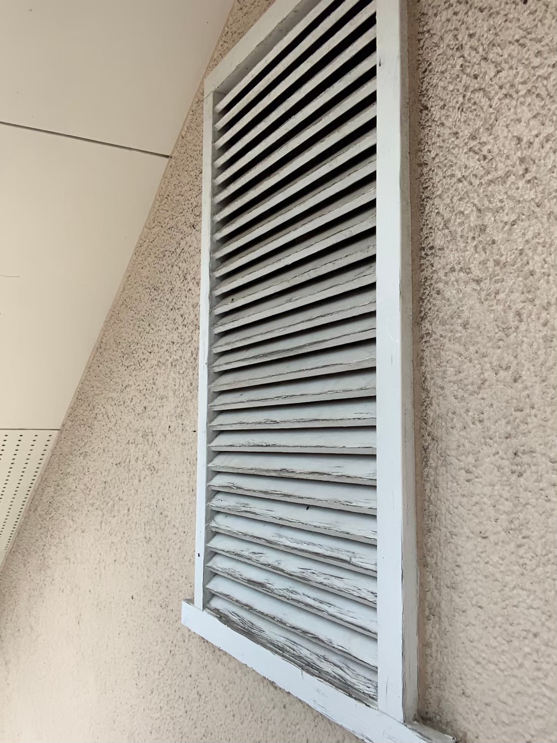 コウモリによる被害　医療施設K　N様　駆除実績