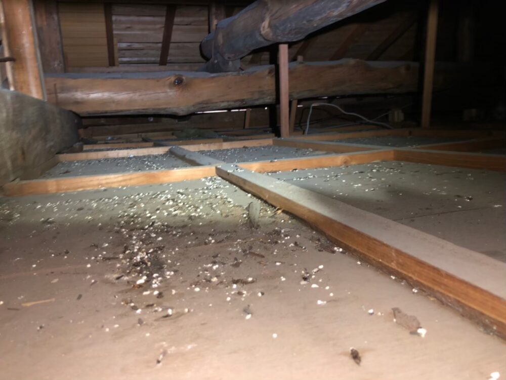 福岡県 久留米市　ネズミによる被害　N様邸　駆除実績