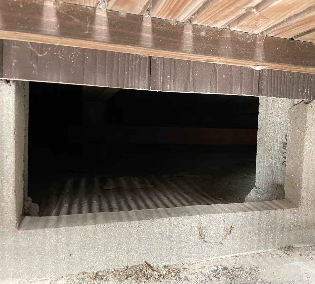 福岡県福岡市　アライグマによる被害　M様邸　駆除実績