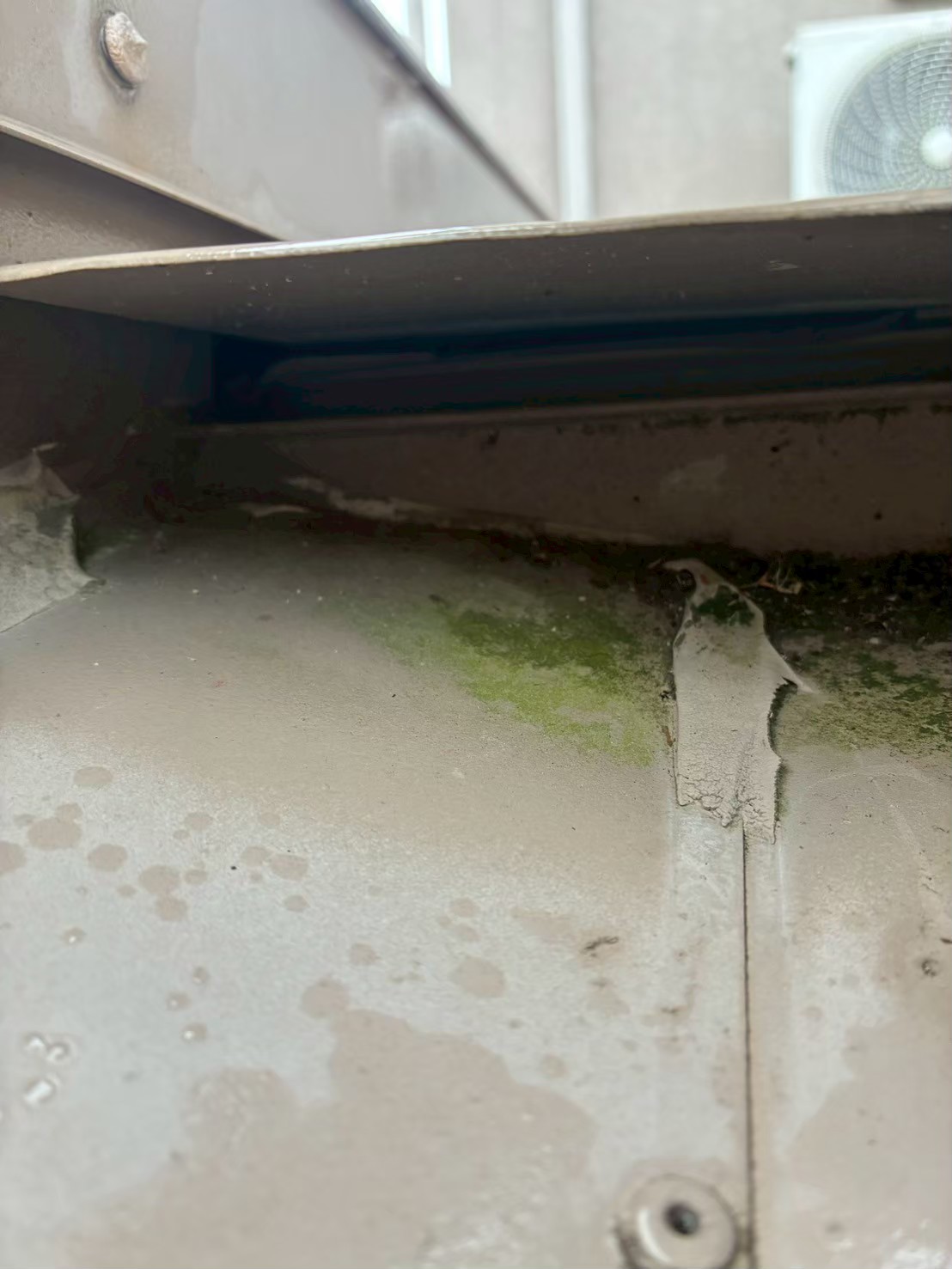 佐賀県多久市　ネズミによる被害　T様邸　駆除実績