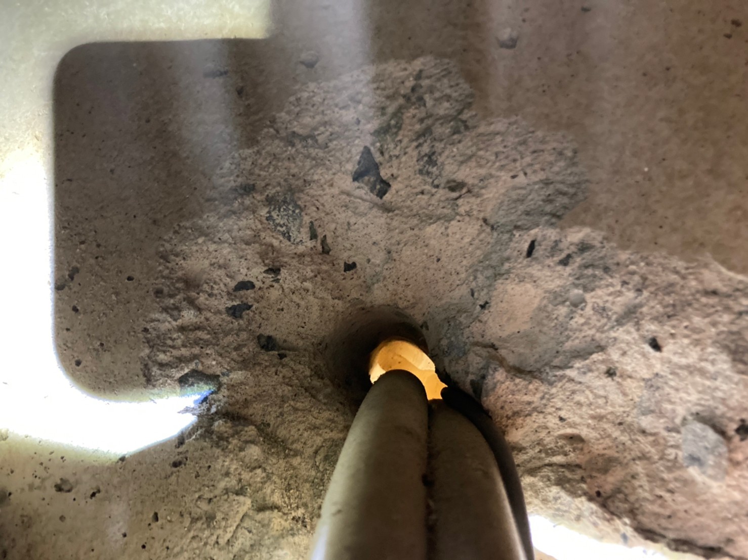 福岡県行橋市　ネズミによる被害　K様邸　駆除実績