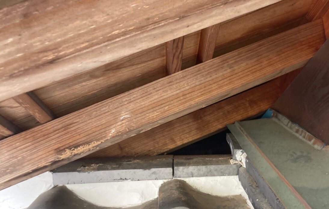 佐賀県嬉野市　イタチによる被害　株式会社G　A様　駆除実績