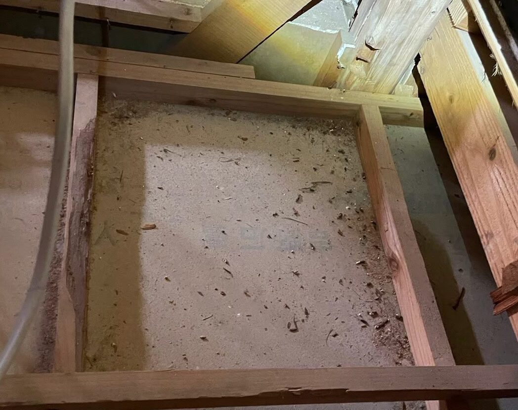 福岡県糟屋郡篠栗町　ネズミによる被害　Y様邸　駆除実績
