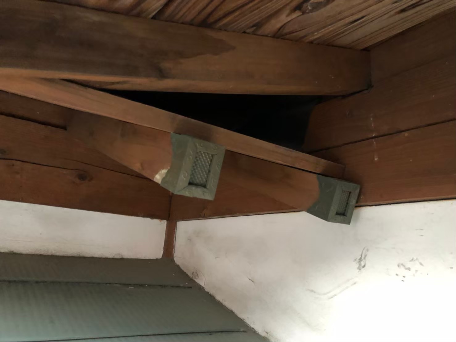 アライグマによる被害　Y様邸　駆除実績