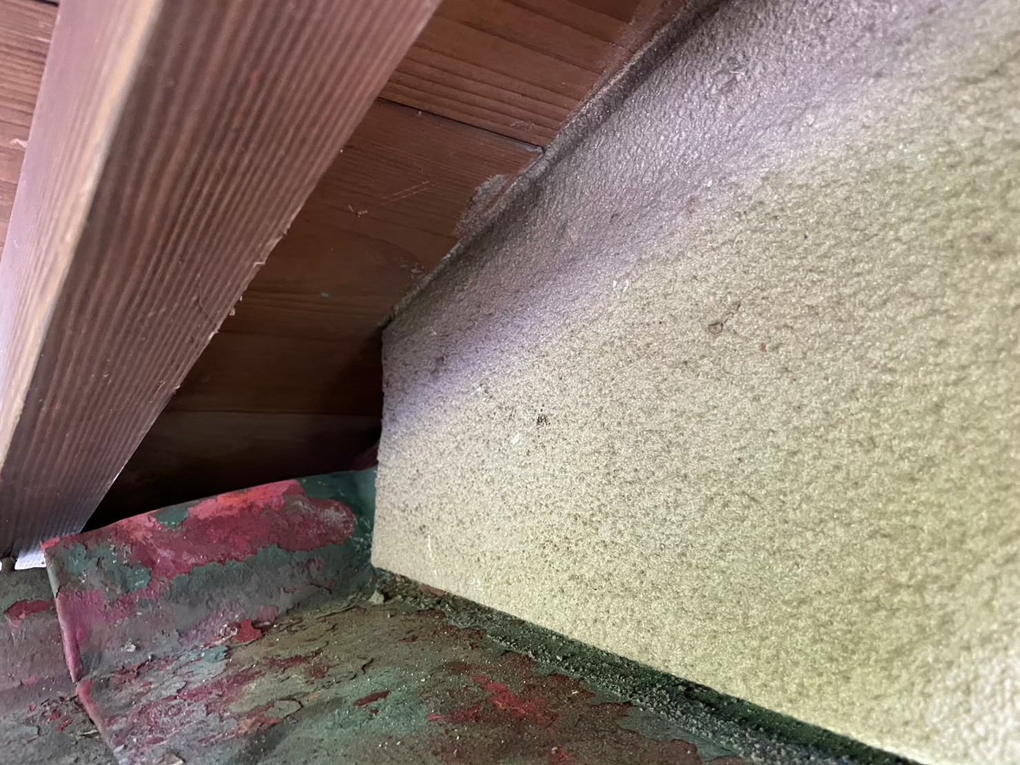 福岡県大牟田市　イタチによる被害　G様邸　駆除実績