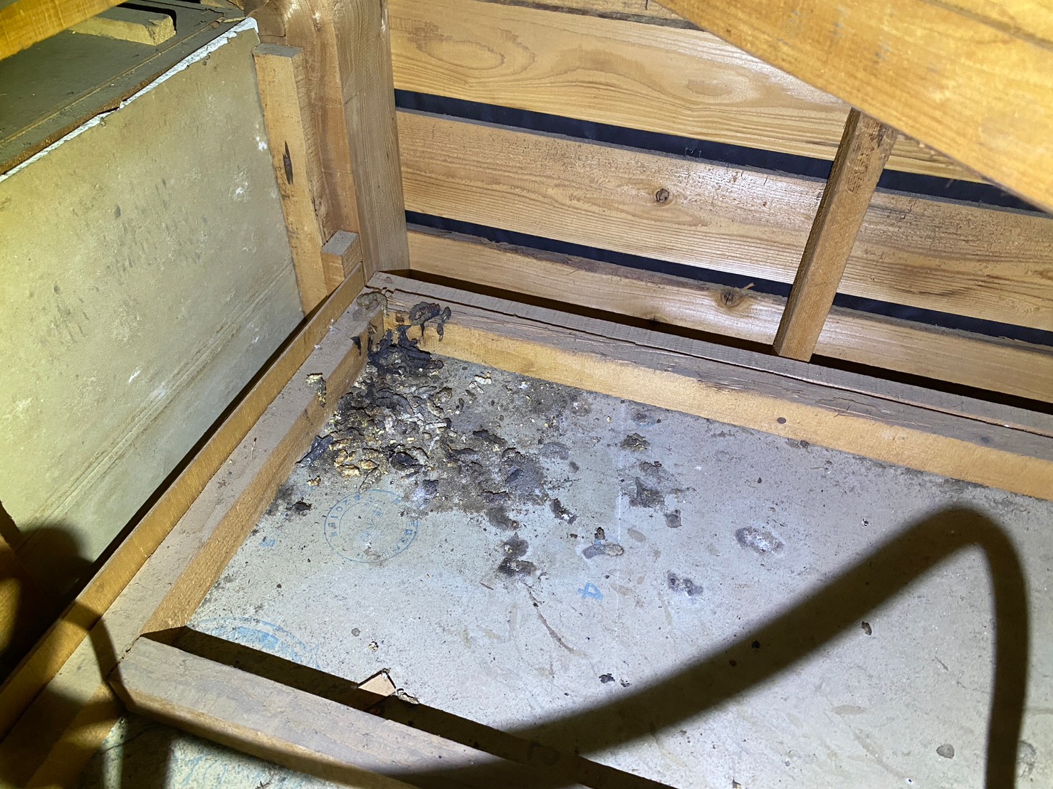 福岡県福岡市　イタチによる被害　K様邸　駆除実績