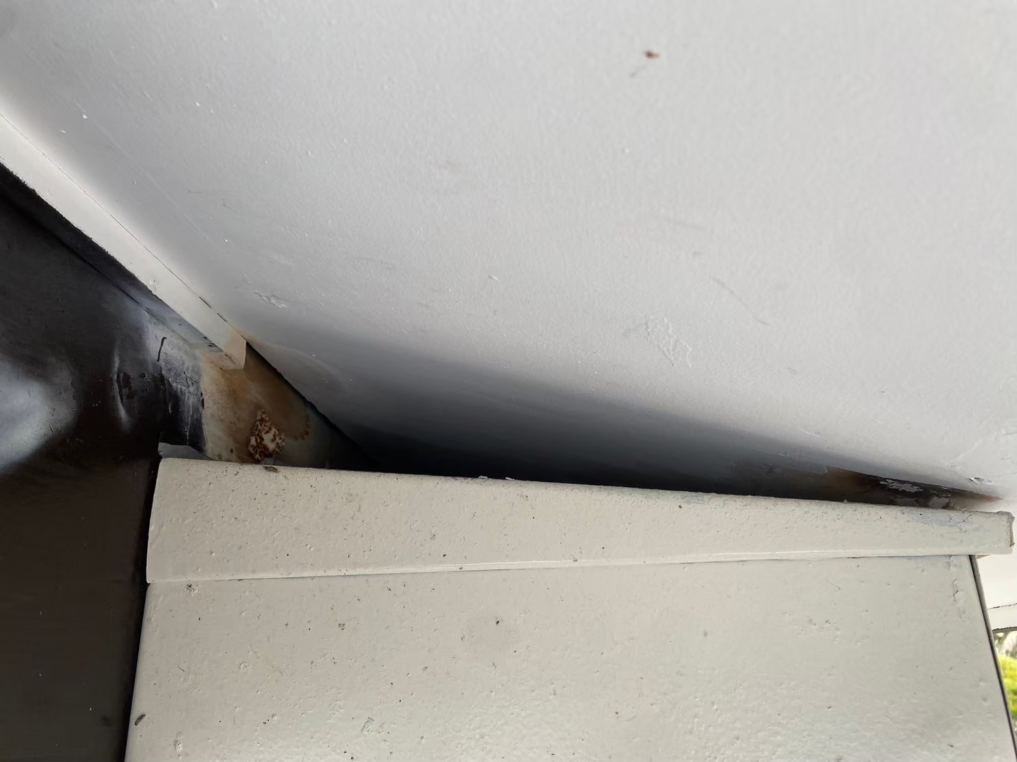 佐賀県三養基郡基山町　ネズミによる被害　N様邸　駆除実績