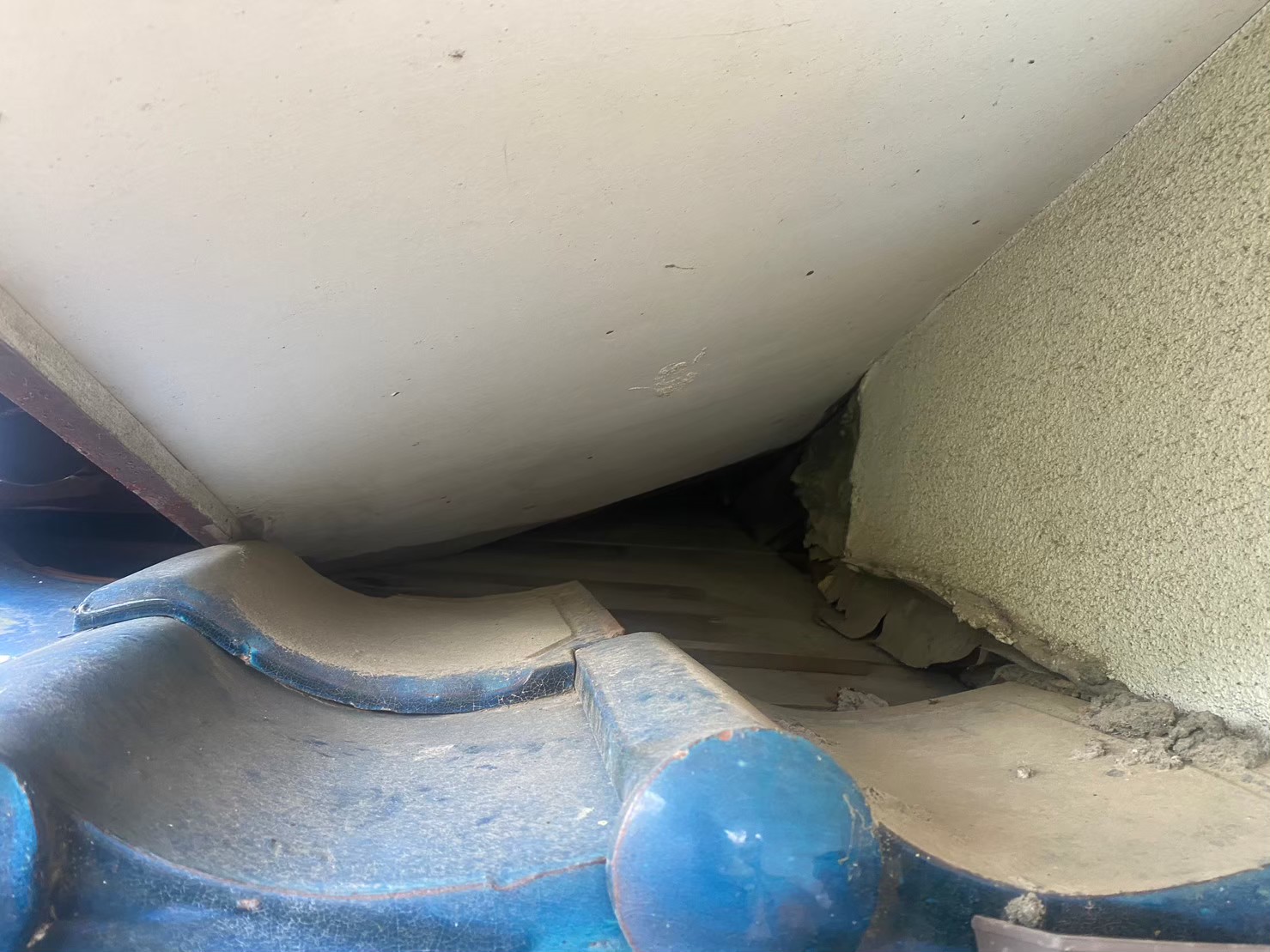 福岡県大野城市　イタチによる被害　T様邸　駆除実績