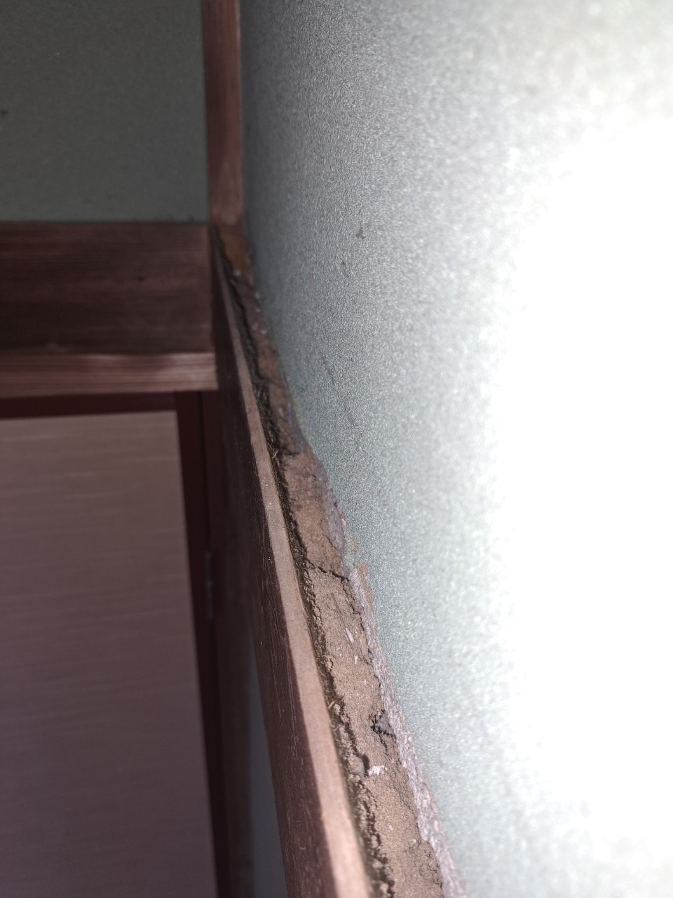 佐賀県唐津市　ネズミによる被害　H様邸　駆除実績