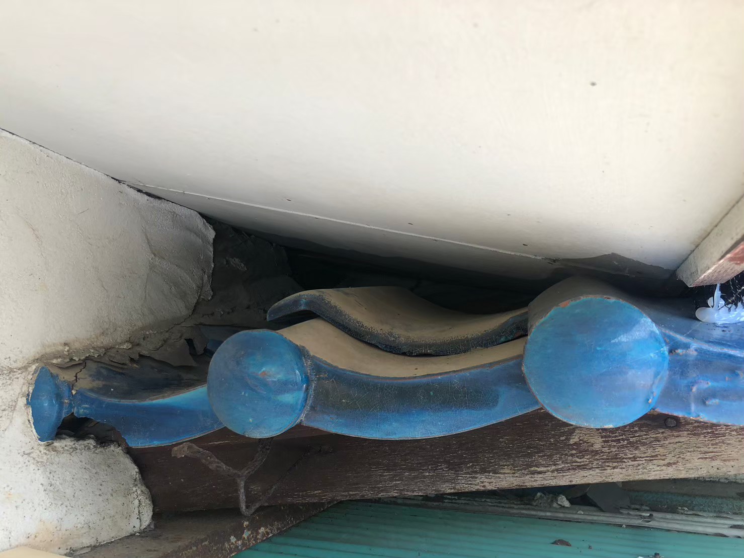 佐賀県鳥栖市　イタチによる被害　W様邸　駆除実績