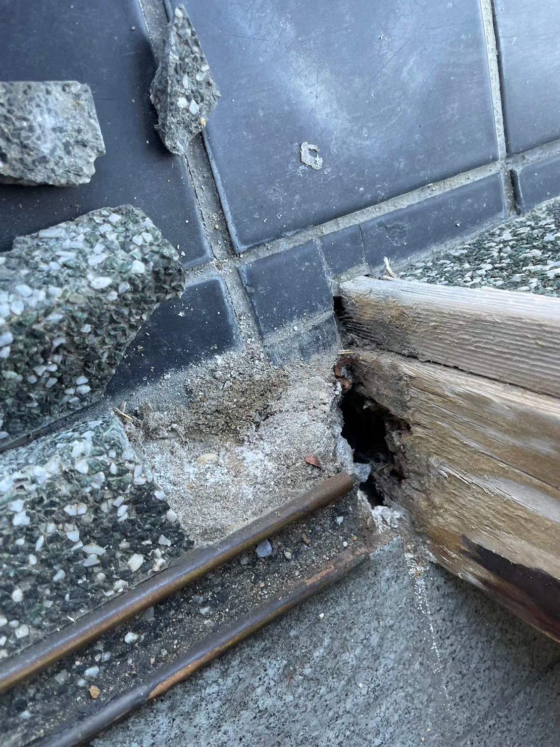 佐賀県小城市　ネズミによる被害　H様邸　駆除実績