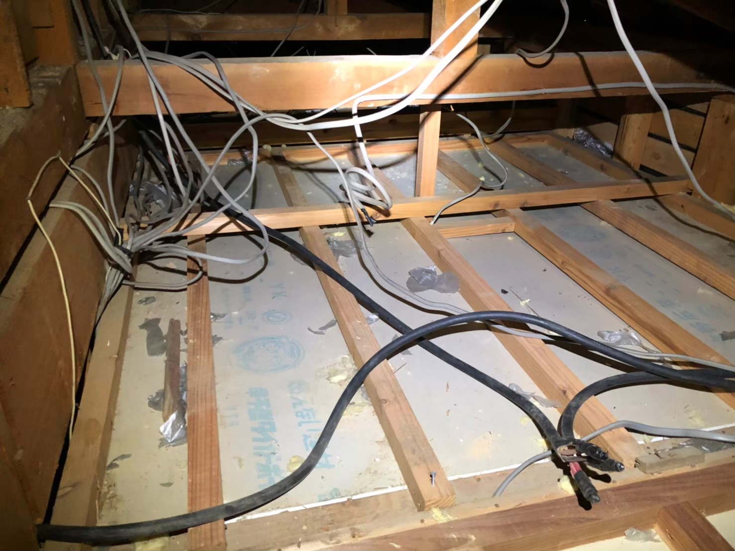 佐賀県伊万里市　アライグマによる被害　M様邸　駆除実績