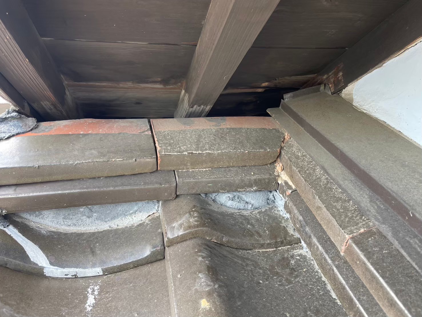 福岡県朝倉市　アライグマによる被害　M様邸　駆除実績