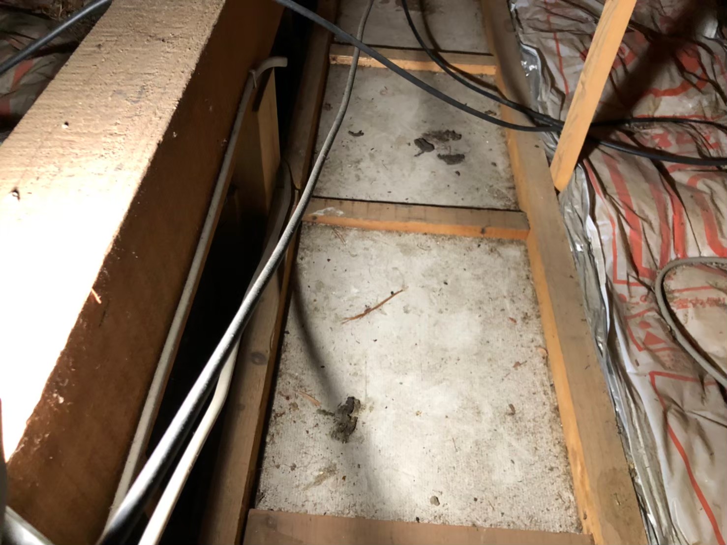 福岡県柳川市　ネズミによる被害　M様邸　駆除実績