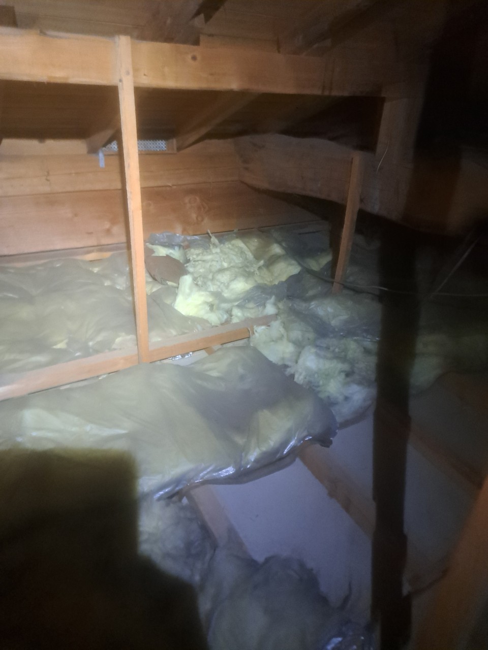 佐賀県小城市　イタチによる被害　U様邸　駆除実績