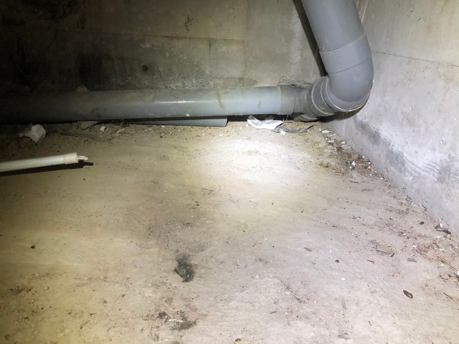 福岡県糟屋郡篠栗町　イタチによる被害　O様邸　駆除実績