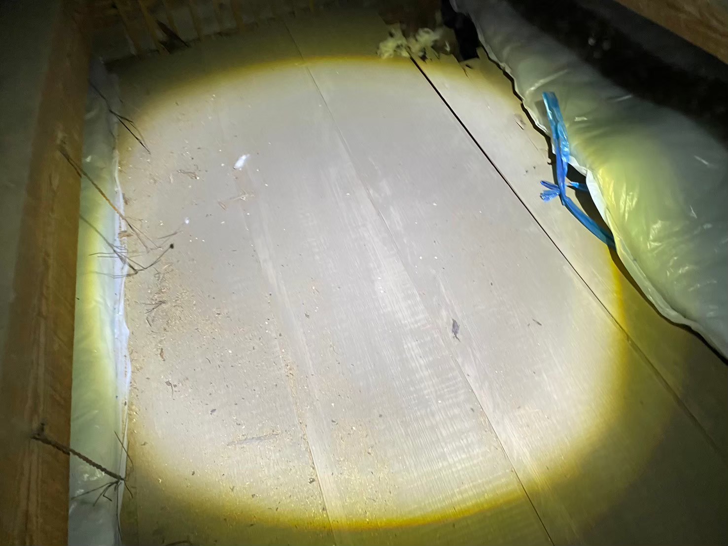 福岡県うきは市　アライグマによる被害　T様邸　駆除実績