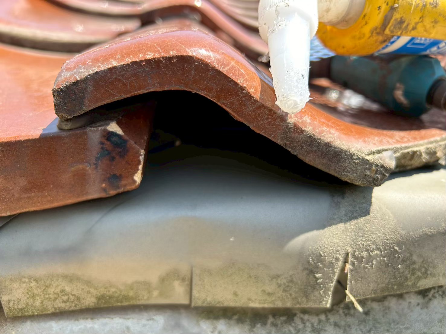 佐賀県唐津市　イタチによる被害　Y様邸　駆除実績