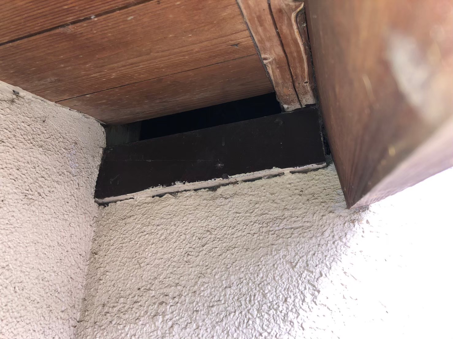 福岡県柳川市　アライグマによる被害　E様邸　駆除実績