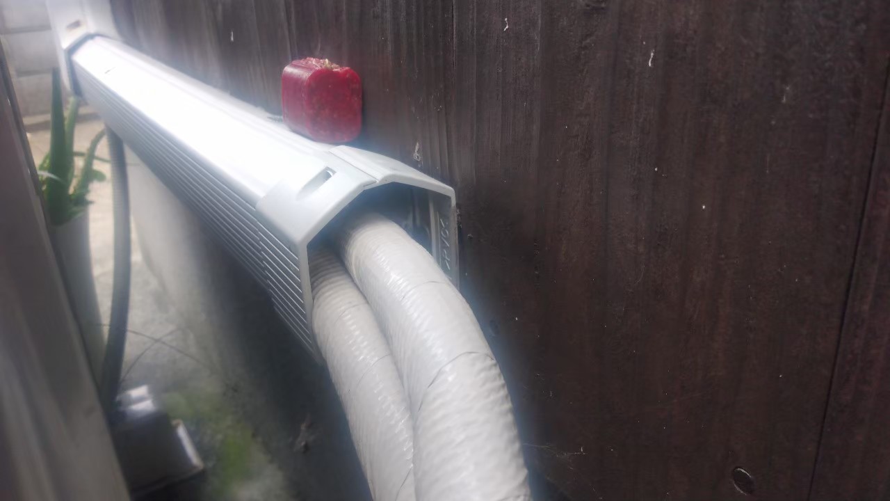 佐賀県鳥栖市　ネズミによる被害　F様　駆除実績