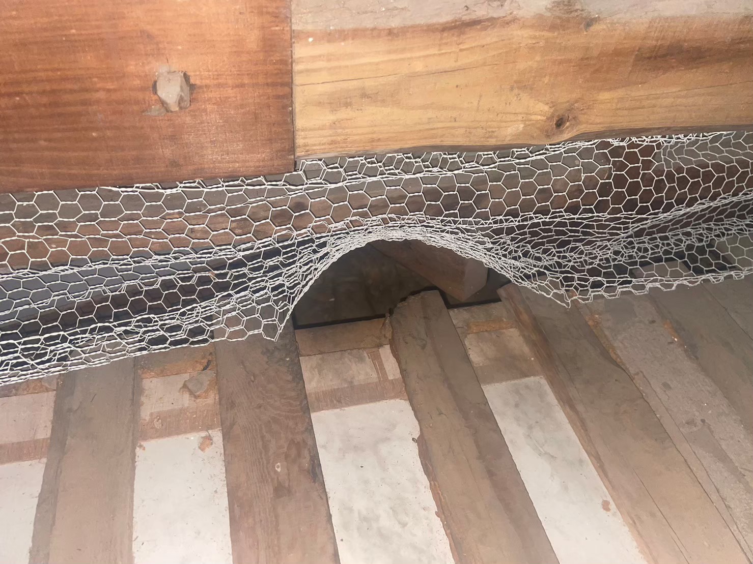 佐賀県唐津市　アライグマによる被害　I様邸　駆除実績