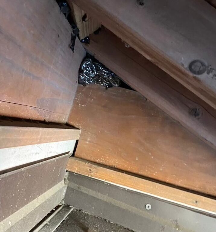 福岡県糟屋郡篠栗町　ネズミによる被害　K様邸　駆除実績