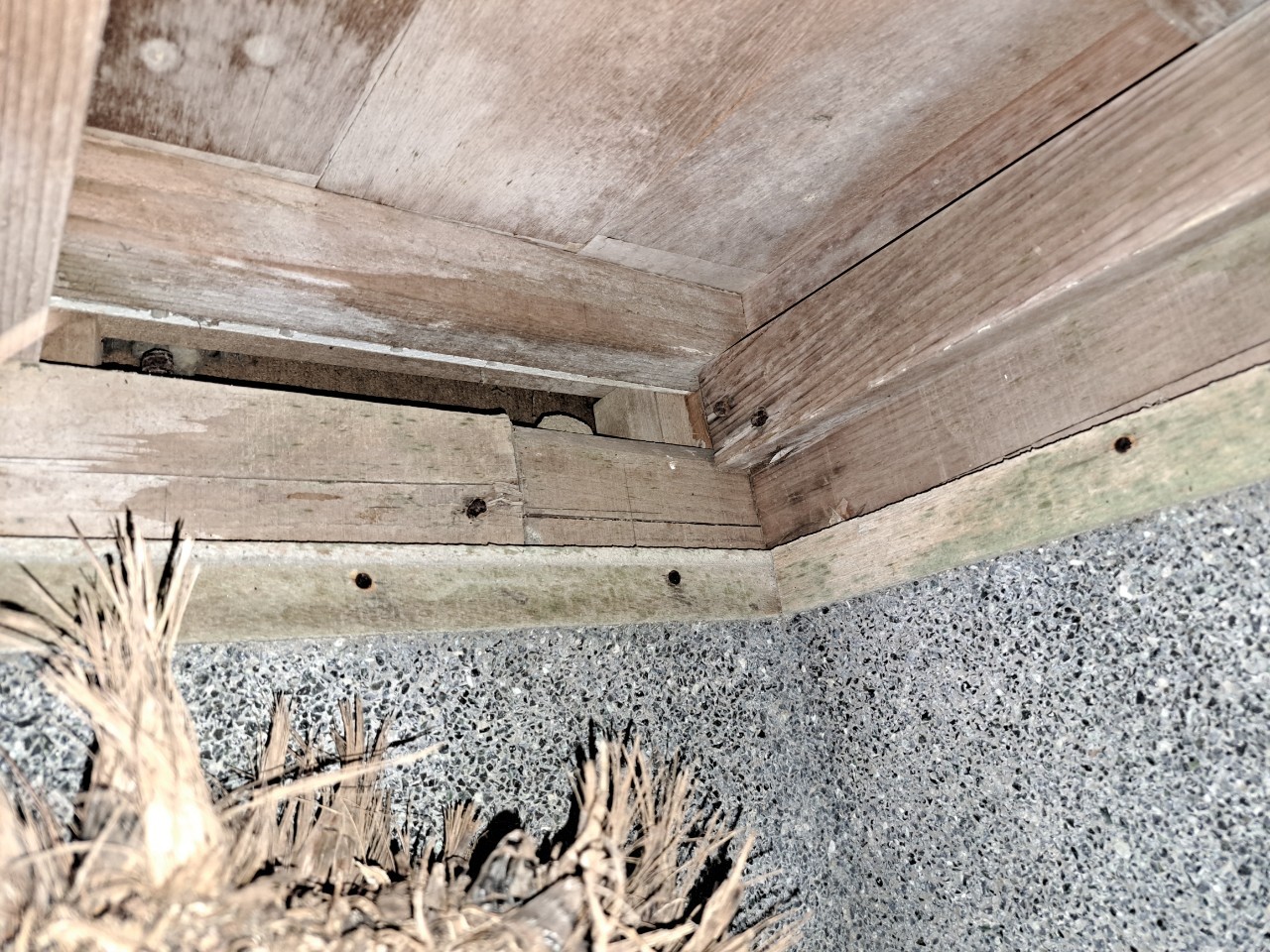 福岡県小郡市　ネズミによる被害　T様邸　駆除実績