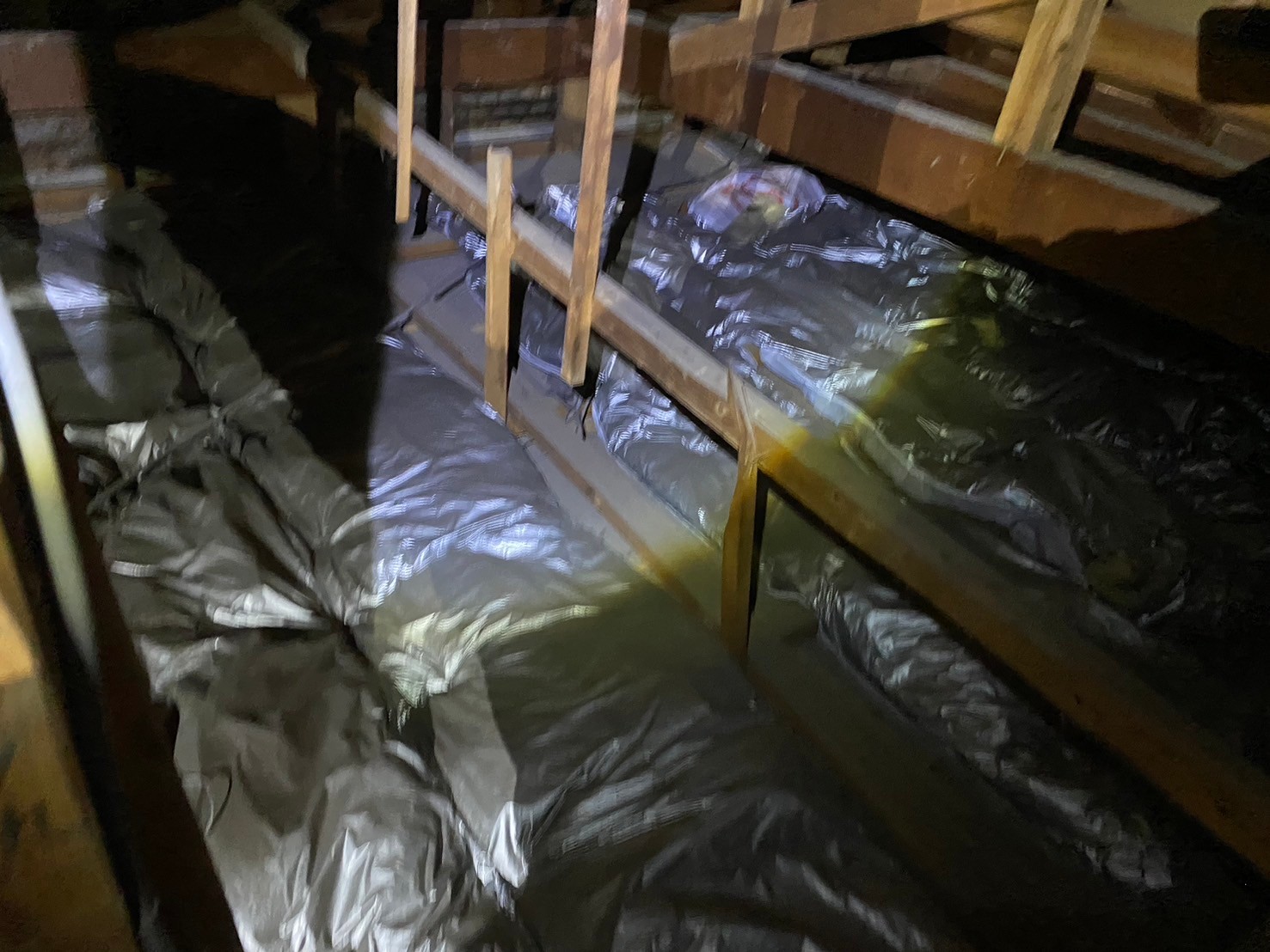 佐賀県 三養基郡みやき町　アライグマによる被害　A様邸　駆除実績