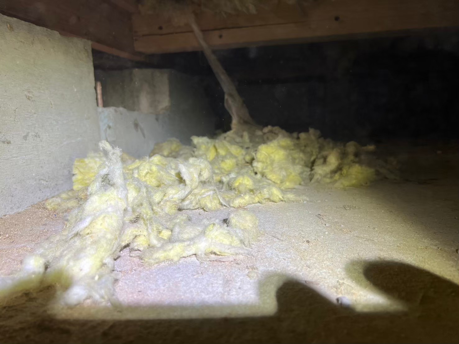 福岡県糸島市　イタチによる被害　U様邸　駆除実績