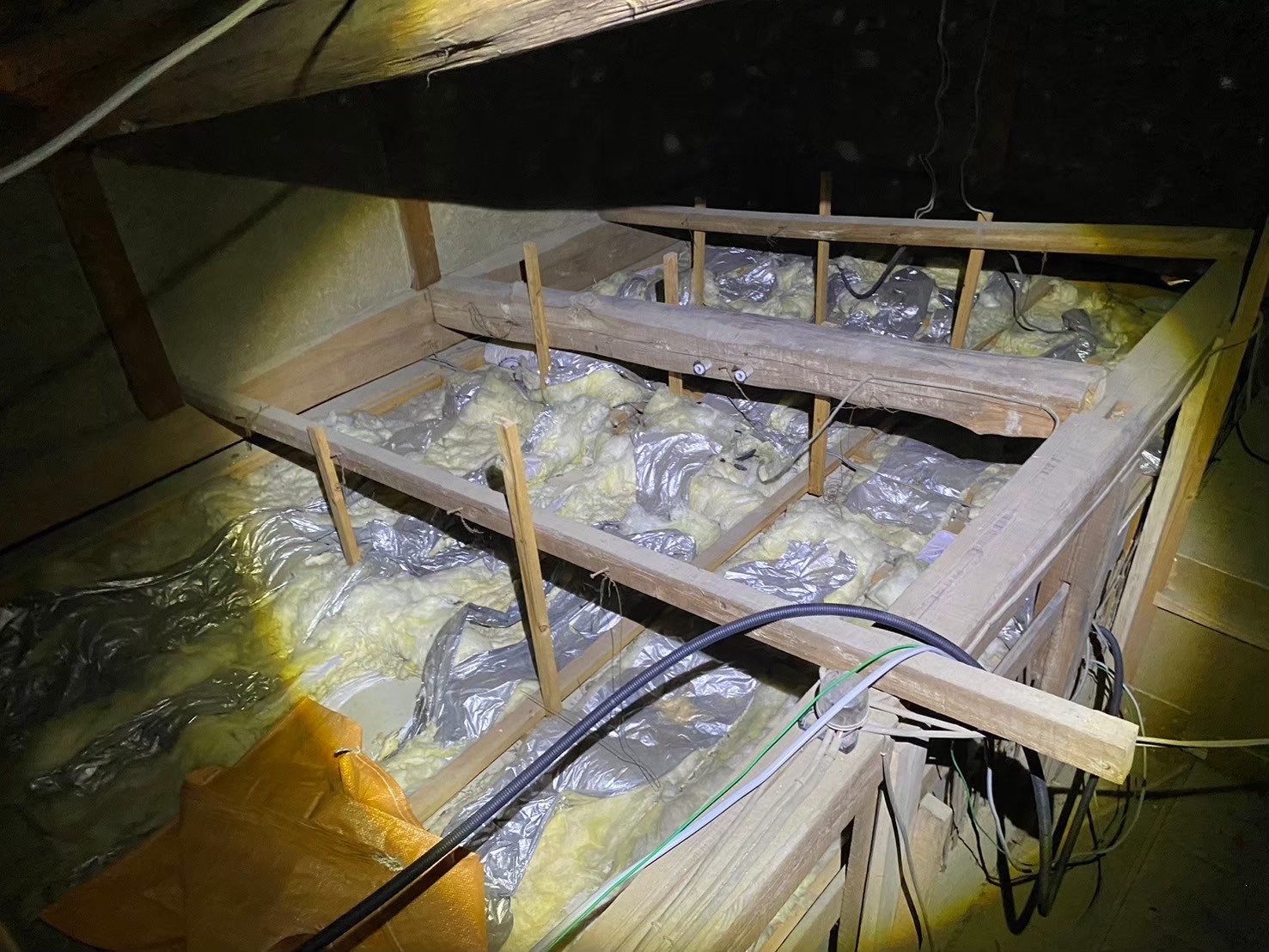 佐賀県佐賀市　アライグマによる被害　T様邸　駆除実績