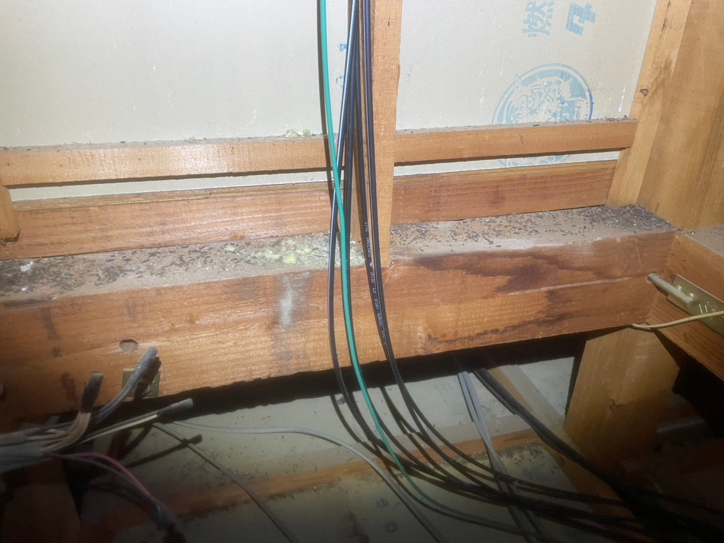 福岡県大野城市　ネズミによる被害　H様邸　駆除実績